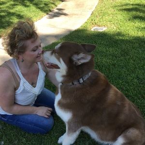 Meet your Posher, Amy